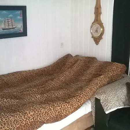 Nedre Glomvei Casa vacanze *